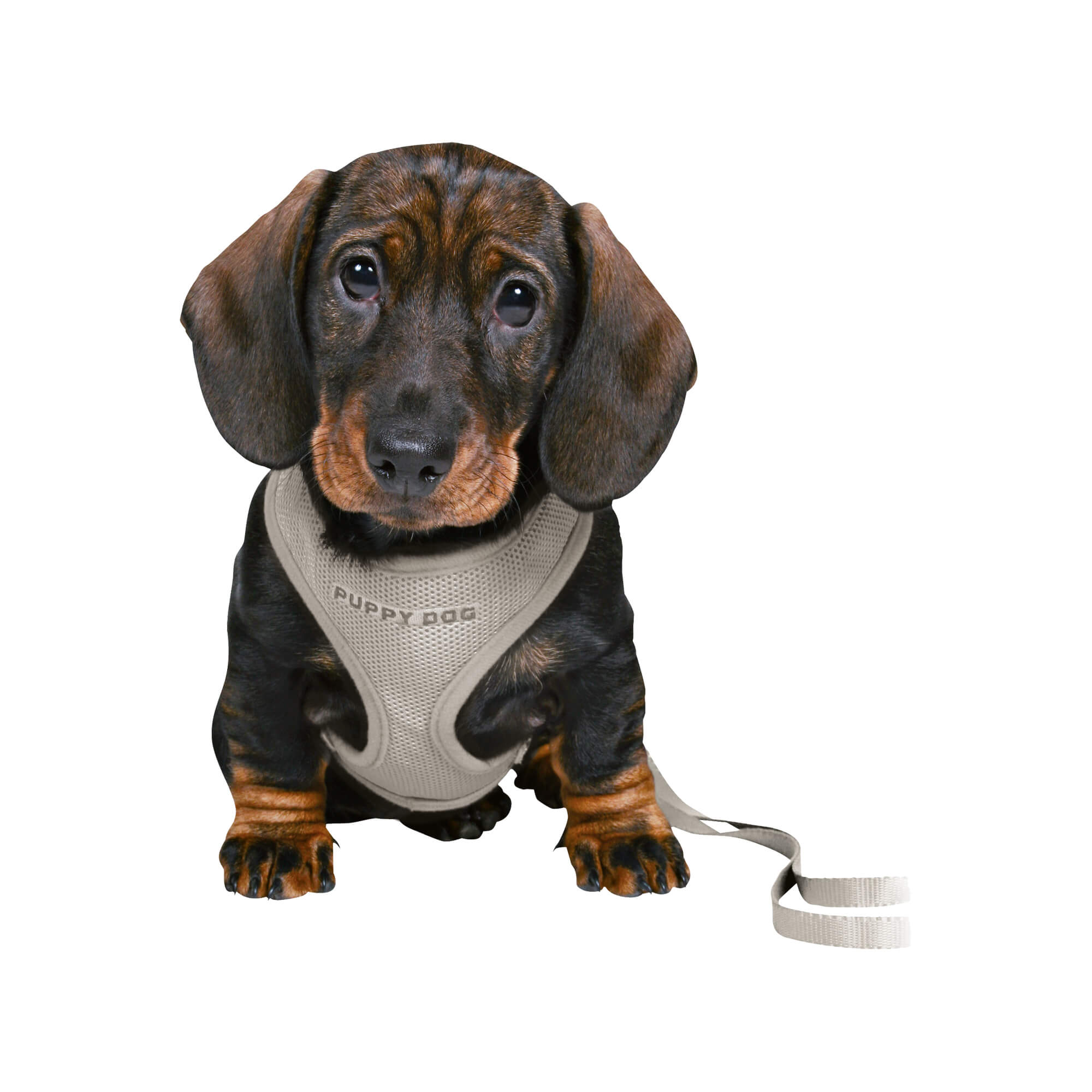 Trixie Junior Puppy-Softtuig met Riem