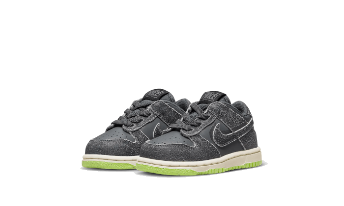 Nike Dunk Low Swoosh Shadow Iron Grey Bébé (TD)