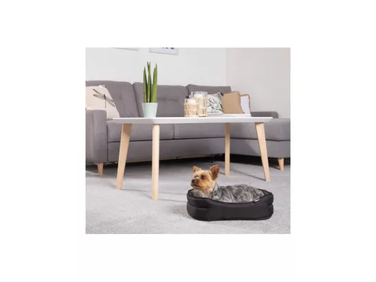 Panier Ovale pour Chien & Chat 