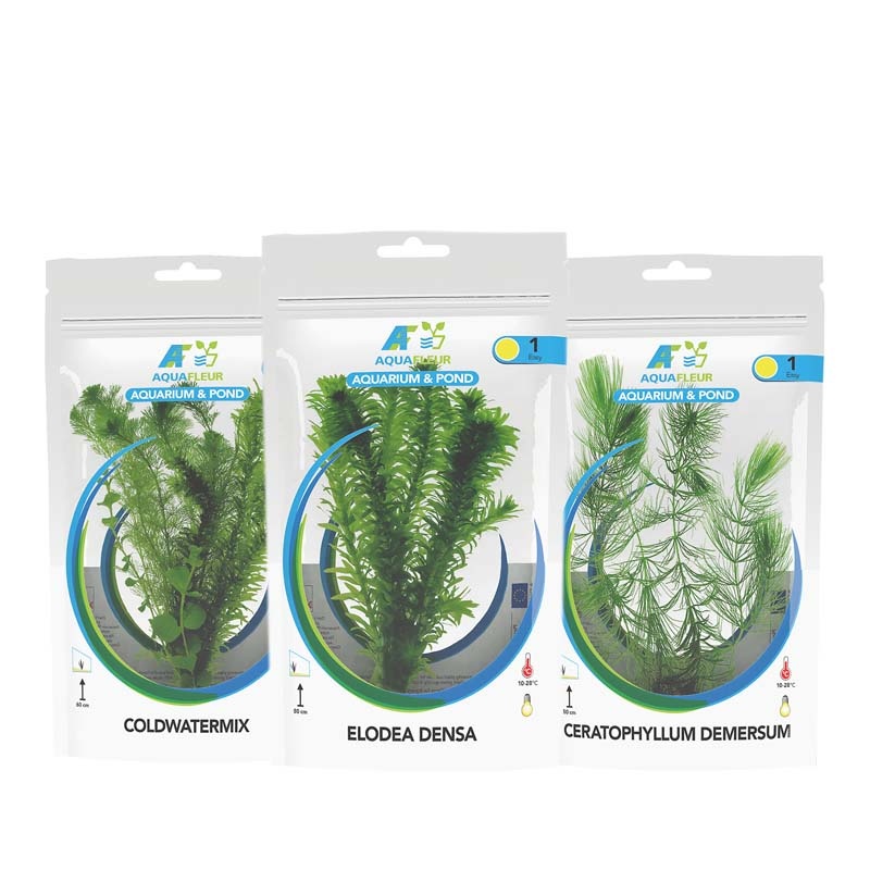 Waterplant Koudwaterplanten in zak pakket | Plant