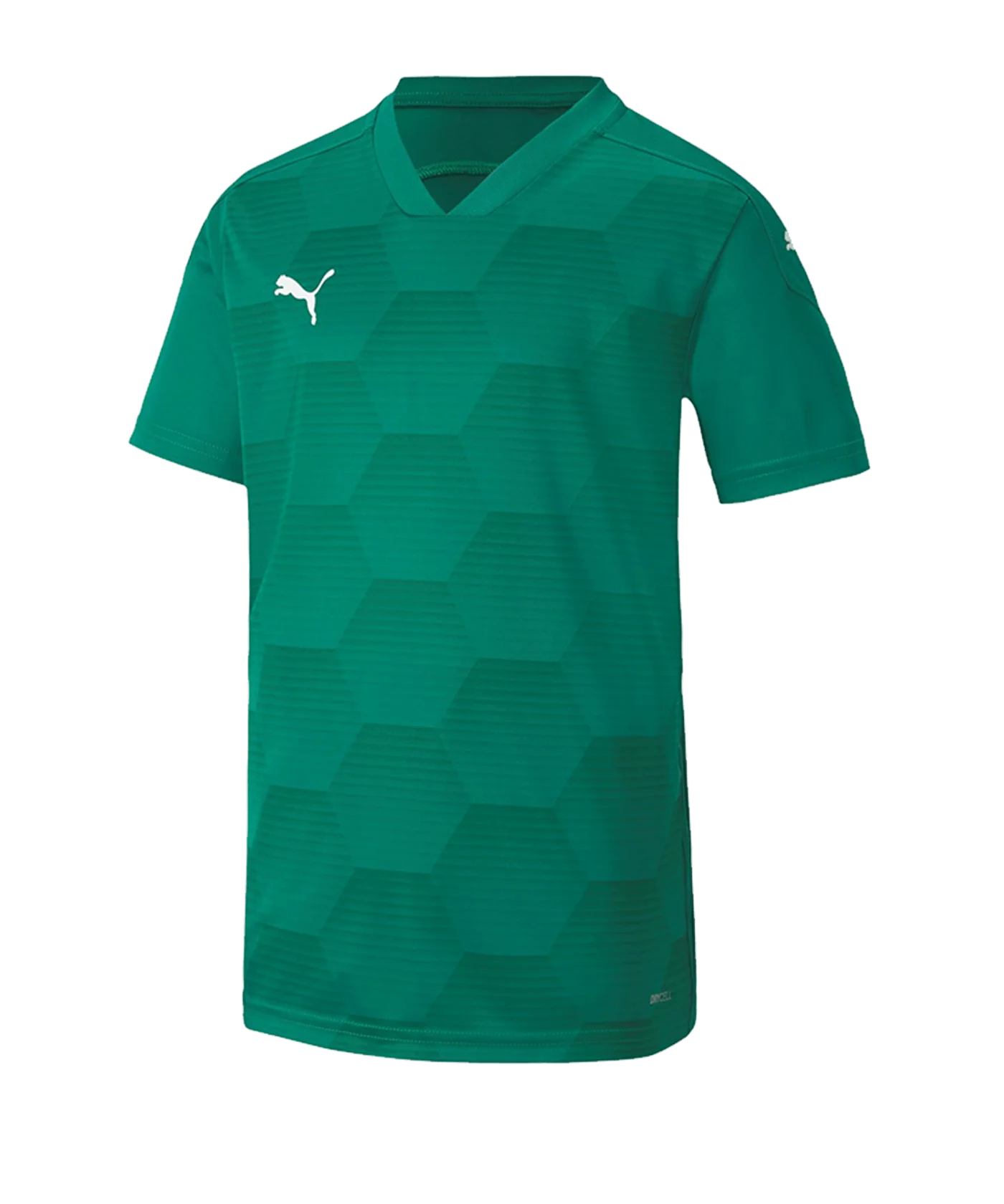 PUMA teamFINAL 21 Graphic Trikot kurzarm Kids F05