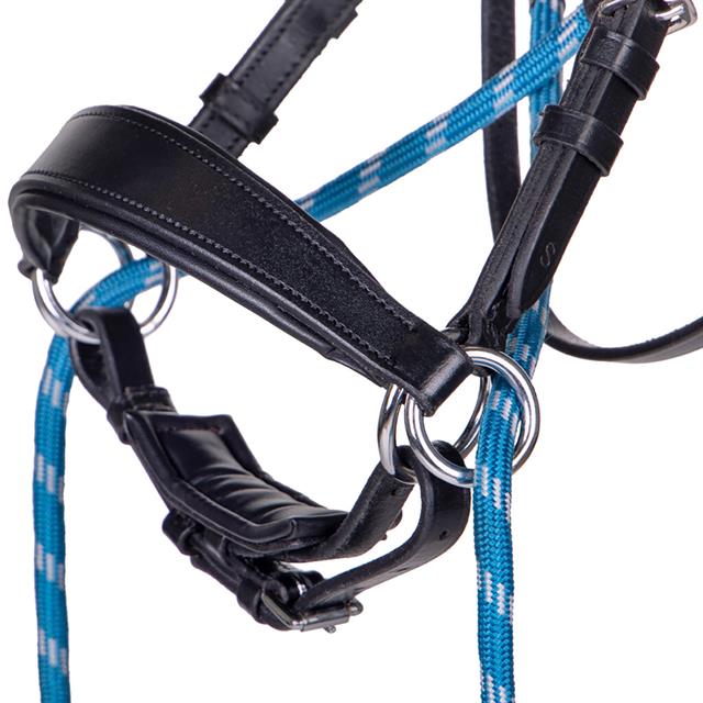 Bitloos Hoofdstel QHP Thunderbolt Zwart-blauw