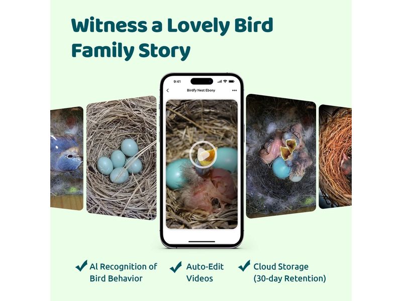 Birdfy Vogelhaus Nistkasten mit Kamera und Solar Vogelhaus mit 1080P HD-Kamera Live-Ansicht