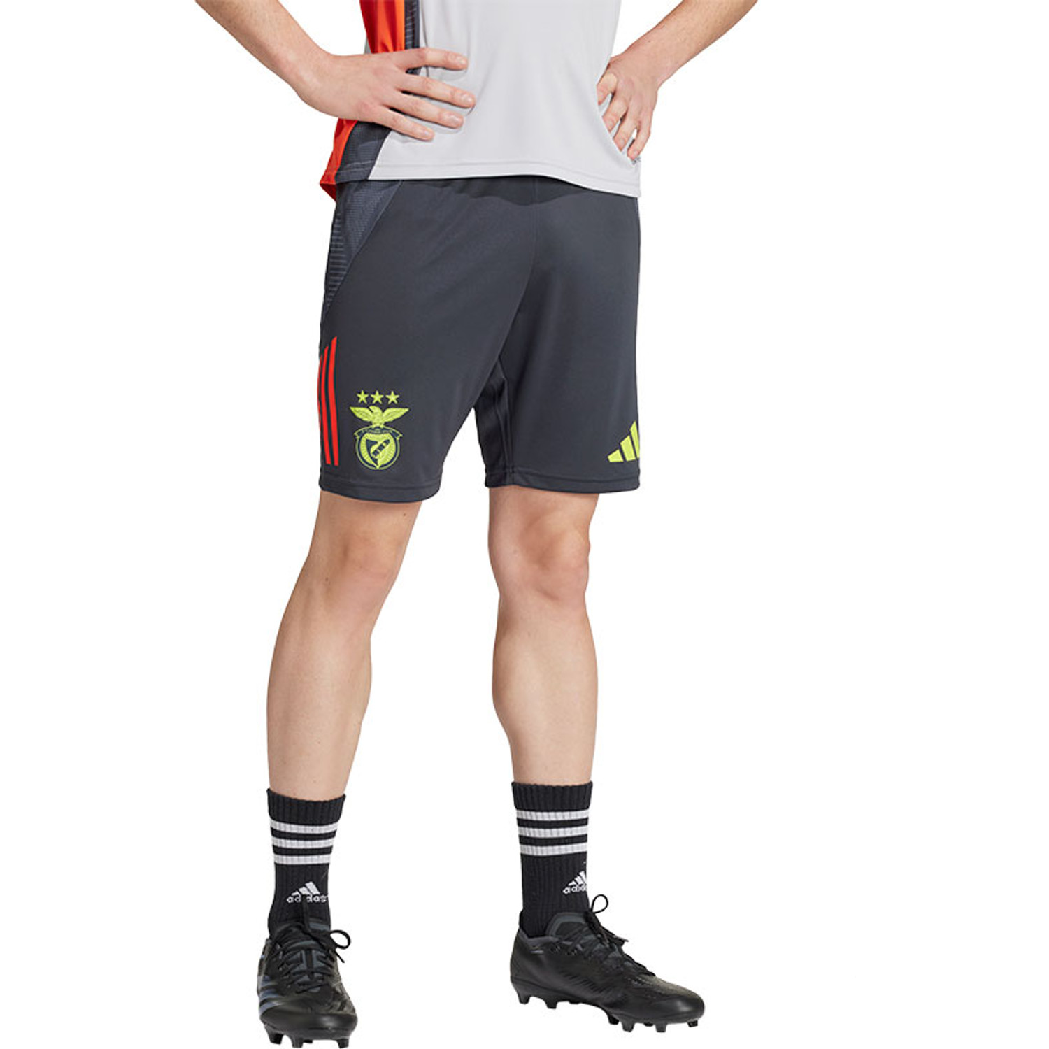 adidas SL Benfica Trainingsset
