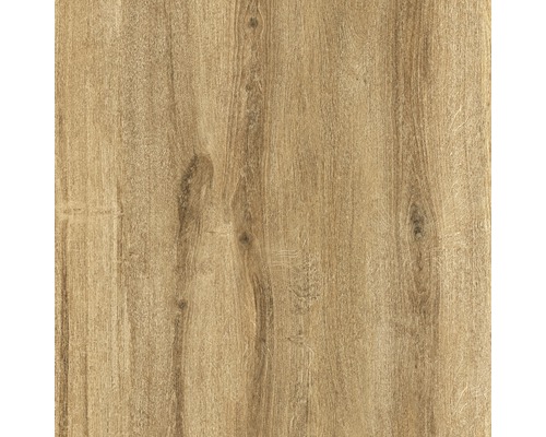 Porseleinen terrastegel Limewood Roble gerectificeerde rand 60 x 60 x 2 cm