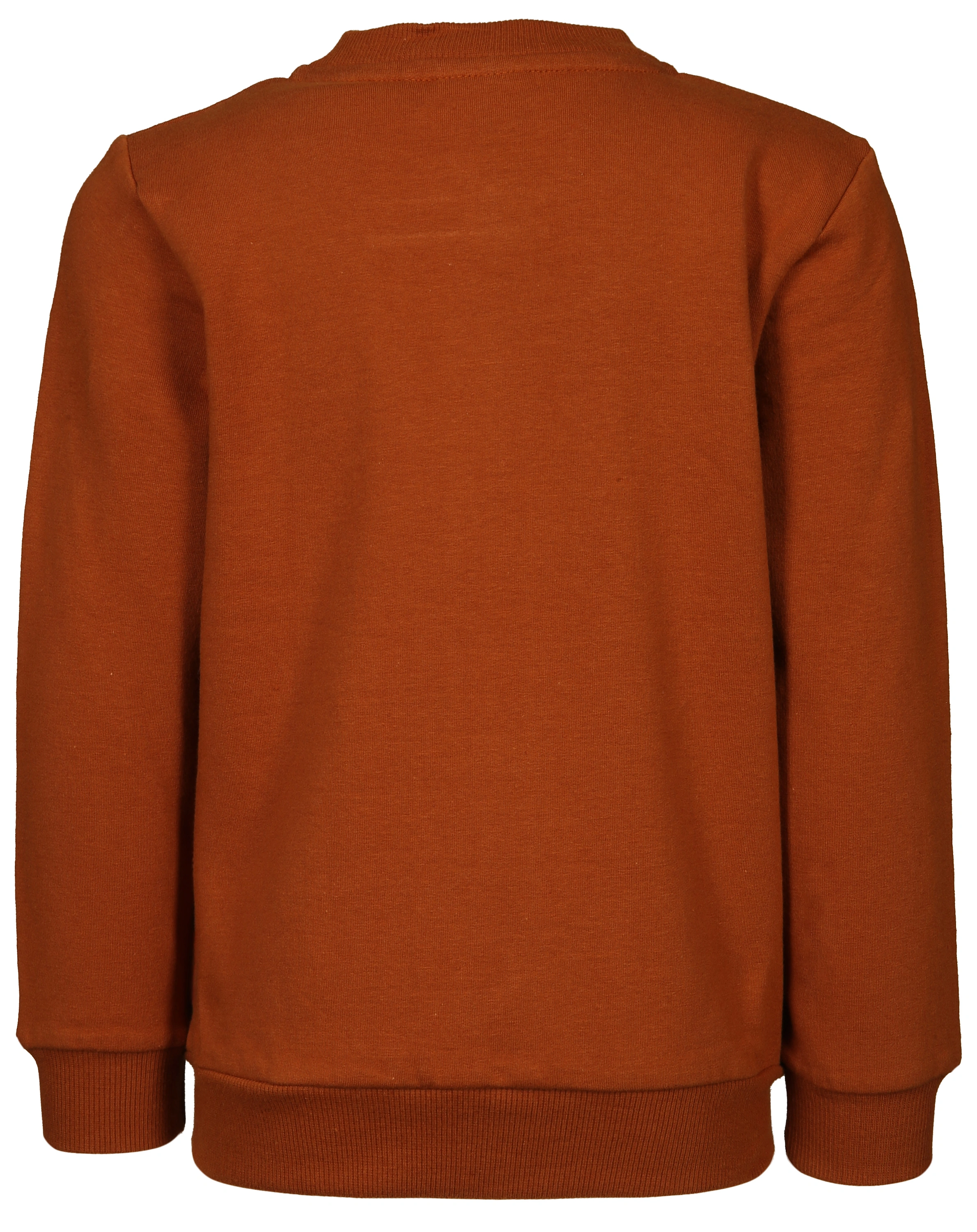 Sweat-Jacke RÜSCHEN in glazed ginger