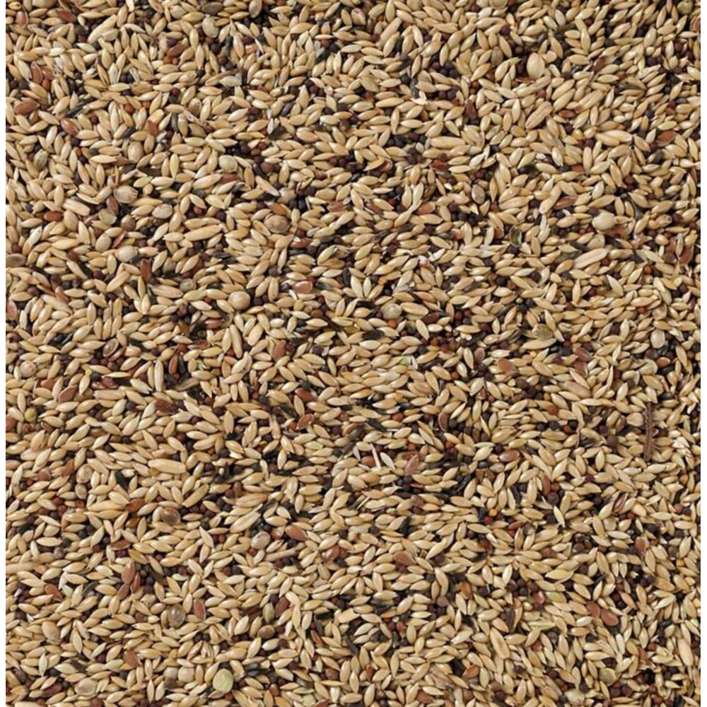 Deli Nature Supreme Kanarie Nummer 5520 kg