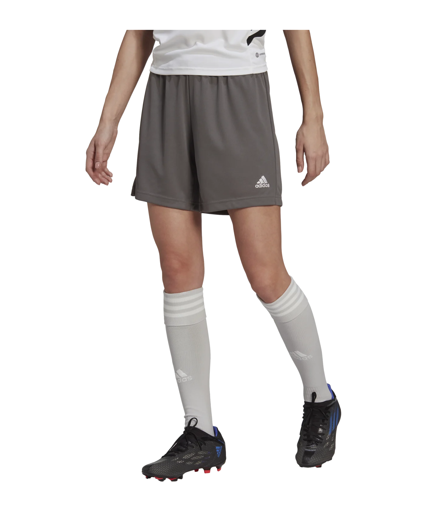 adidas Entrada 22 Short Damen Grau