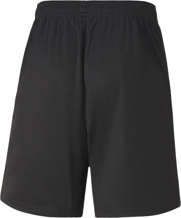 Puma Teamgoal 23 Knit shorts Sort