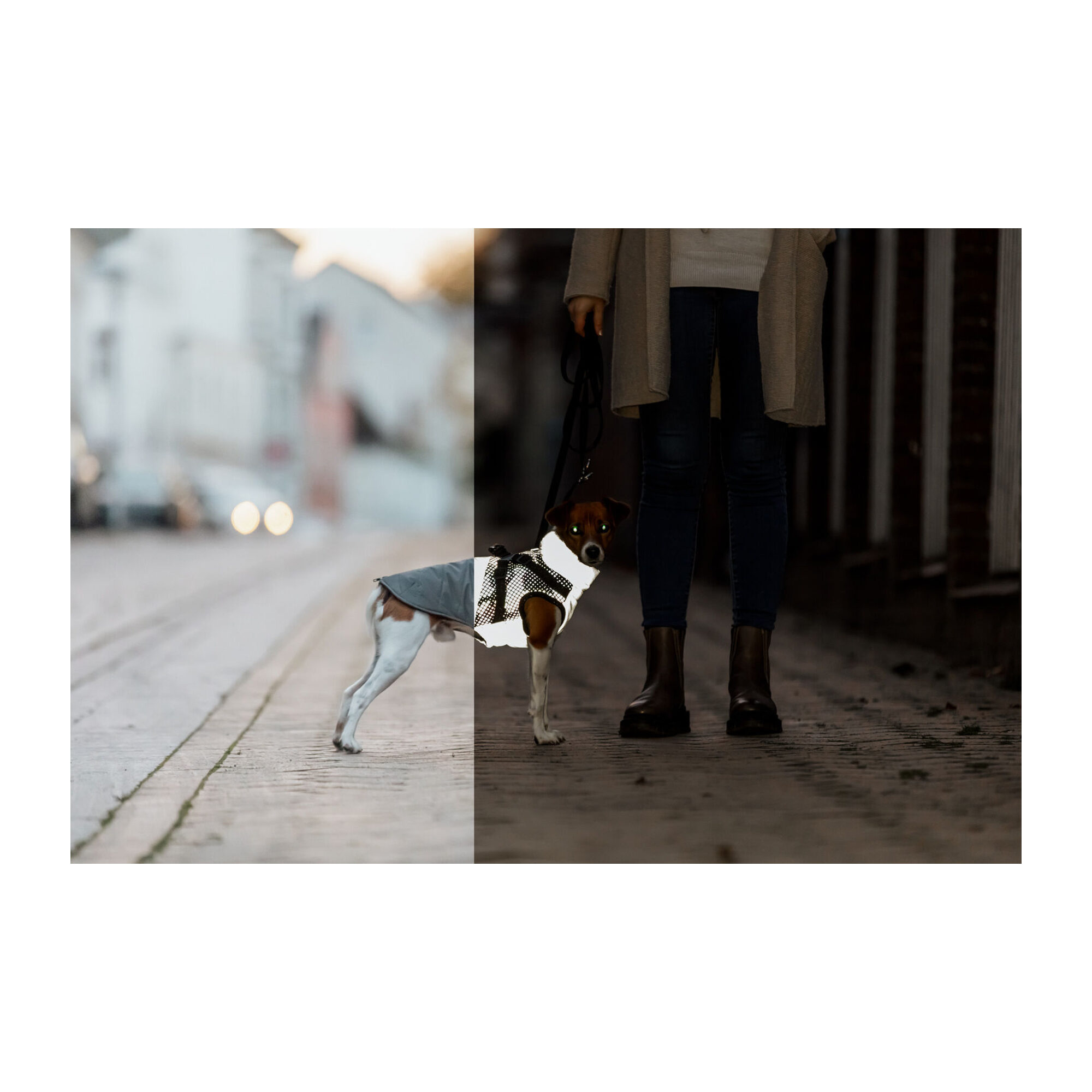 Trixie Winterjas met Tuig Pontis Reflect