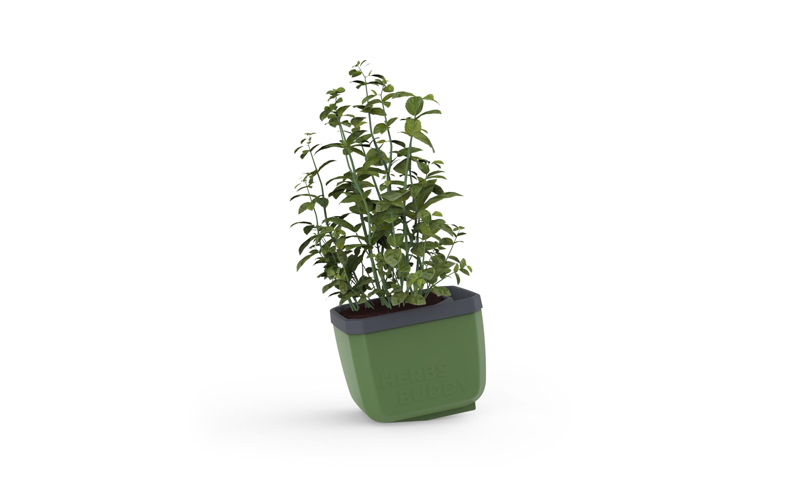 HERBS BUDDY Kräutertopf 3er Set TrecoloreKräutertopf mit Wasserreservoir und Kippfunktion