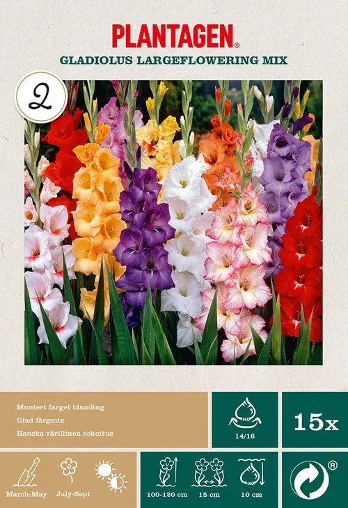 Plantagen Gladioler fargemiks 15 kp