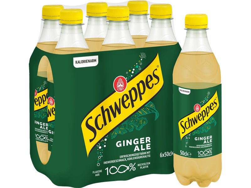 Schweppes Soft-Drinks Ginger Ale 6 x 0.5 l Würzig-süsses Erfrischungsgetränk mit prickelnder Kohlensäure