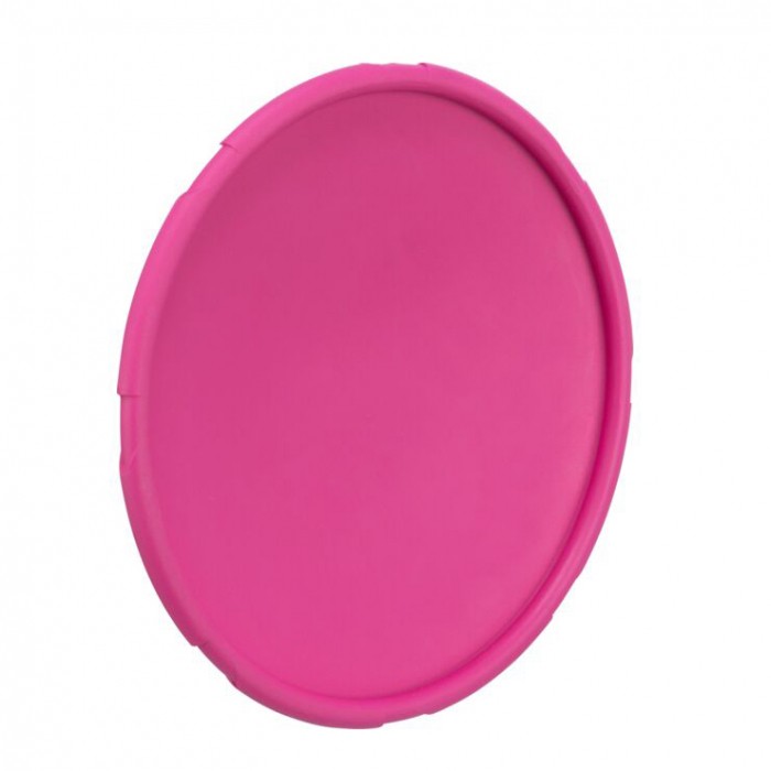 Frisbee Doggy Disc