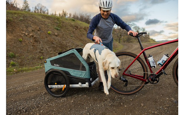 Ruffwear Web Master Hundegeschirr mit Handschlaufe