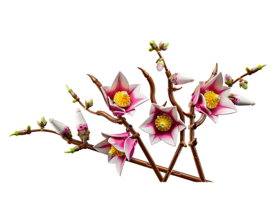 LEGO Magnoliatakken (11510)
