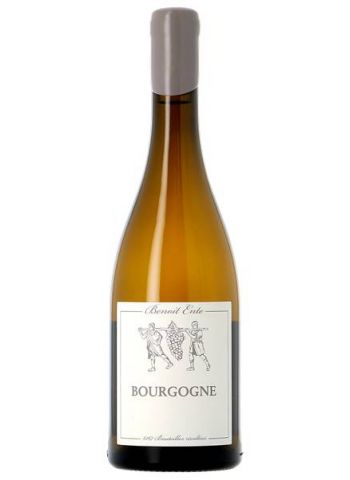 Chardonnay - Benoît Ente