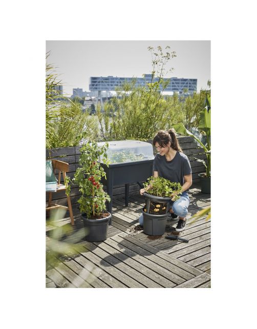 Elho Green Basics Kweekhuis Deksel Super - Kweekbenodigdheden - 74.8x56.6x22.3 cm Transparant Xxl