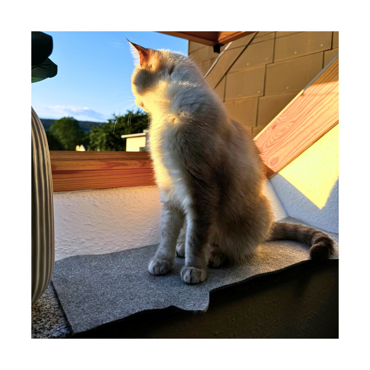 Catlabs Leichte Liegematte für die Fensterbank (rPET)