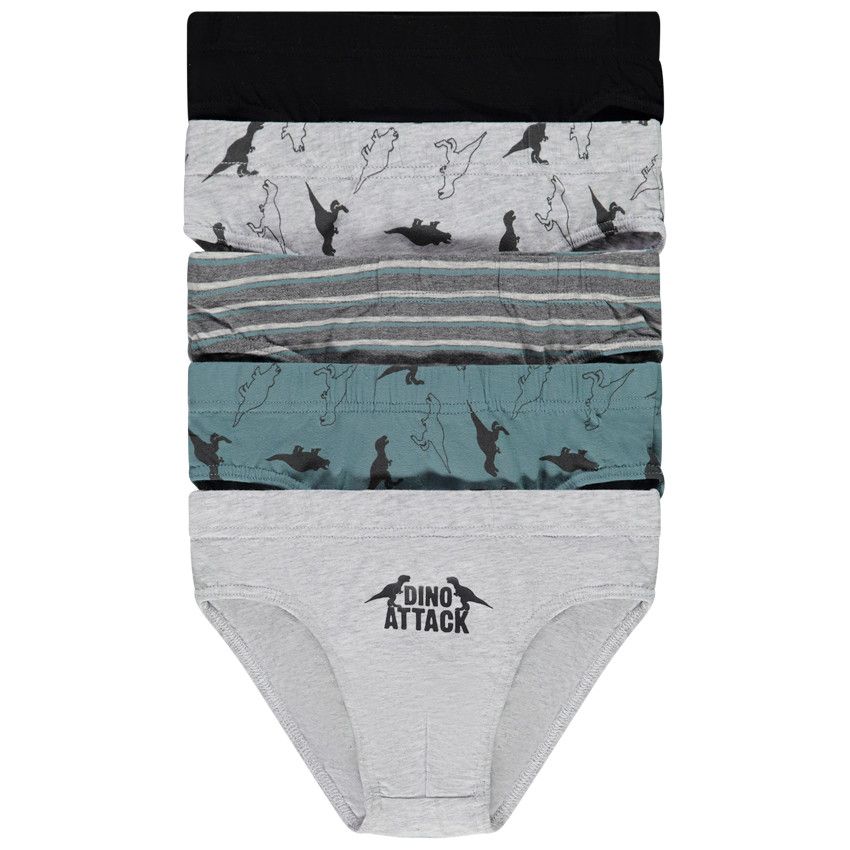 Lot de 5 slips en jersey print dinosaures pour garçon - Gris chiné