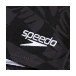 Maillot de Bain Speedo Valmilton Noir / Gris