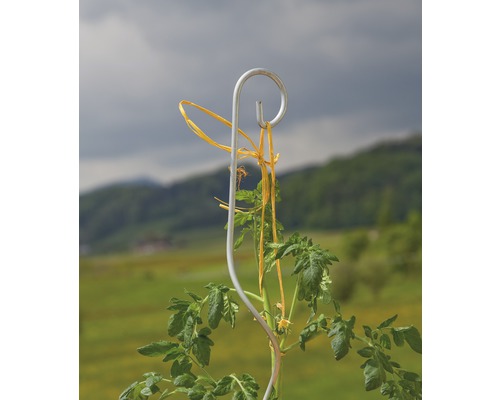 Spiraalstok met haak, metaal, Ø 6 cm, H 180 cm, tomatenspiraalstok, klimhulp voor tomaten en andere klimplanten