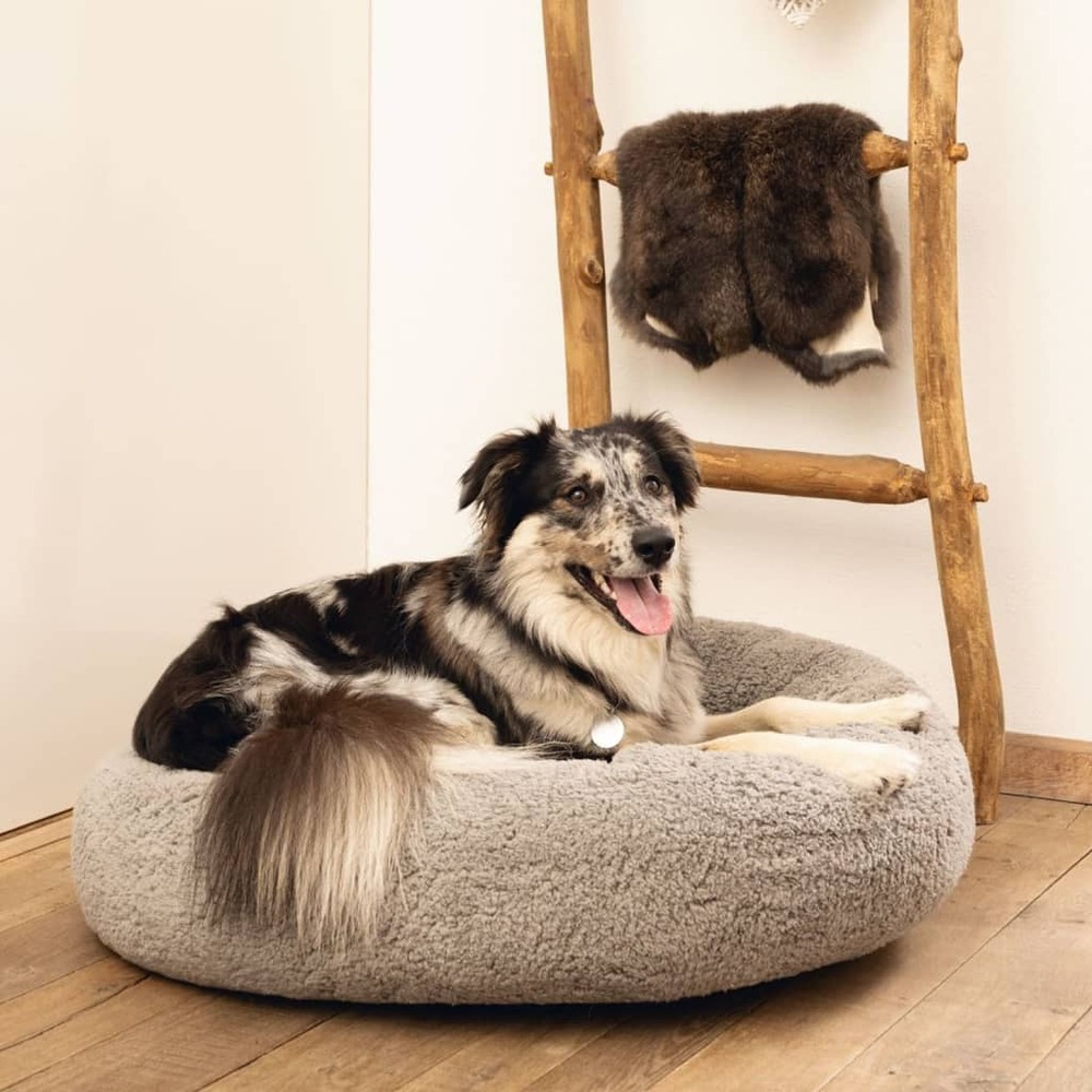 Lit pour chien mousse à mémoire de forme jaxx 50x20 cm gris