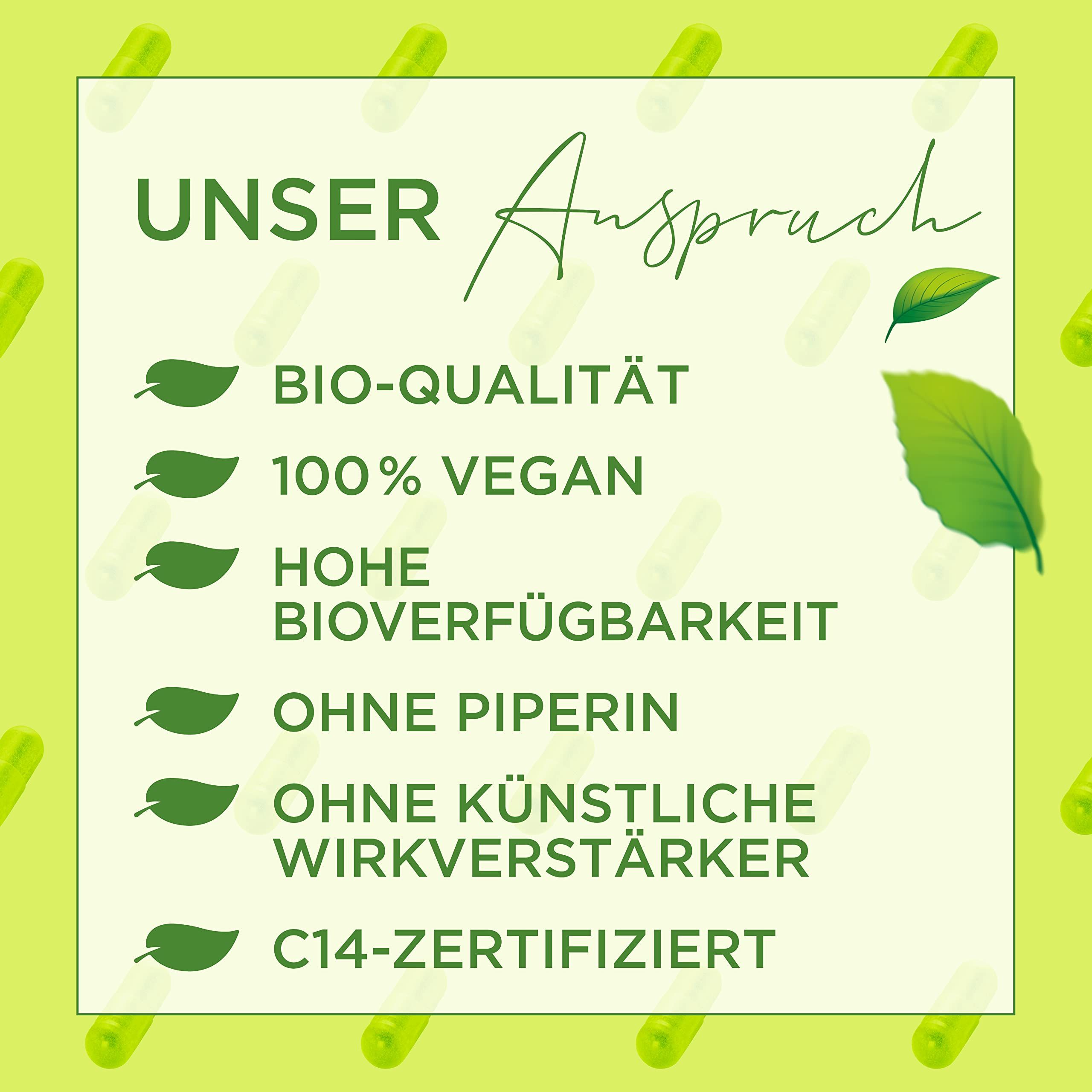Nature's Way Bio Curcuma Kapseln – hochdosierter Kurkuma-Extrakt mit Vitamin C, 45x höhere Aufnahme