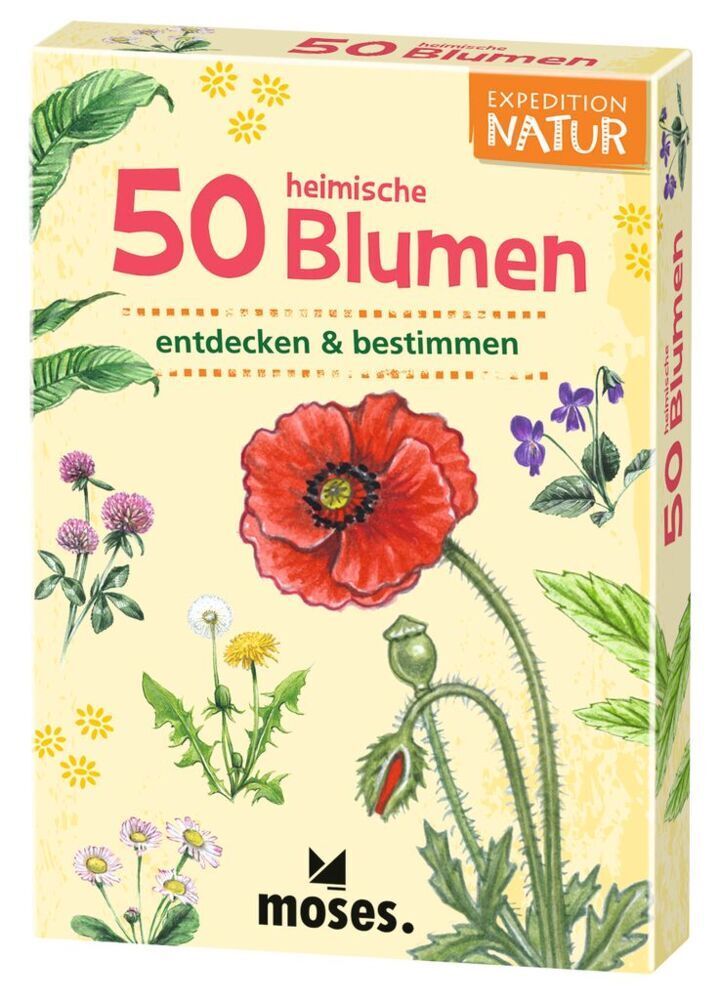 50 heimische Blumen entdecken & bestimmen