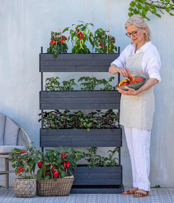 Pick-a-Pep® Paprika, rot