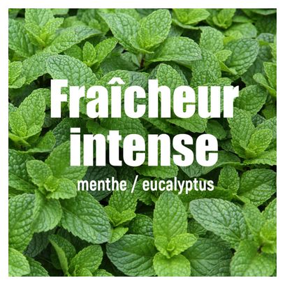 Gel Énergétique Overstims Red Tonic Menthe Eucalyptus pack 36 x 34g