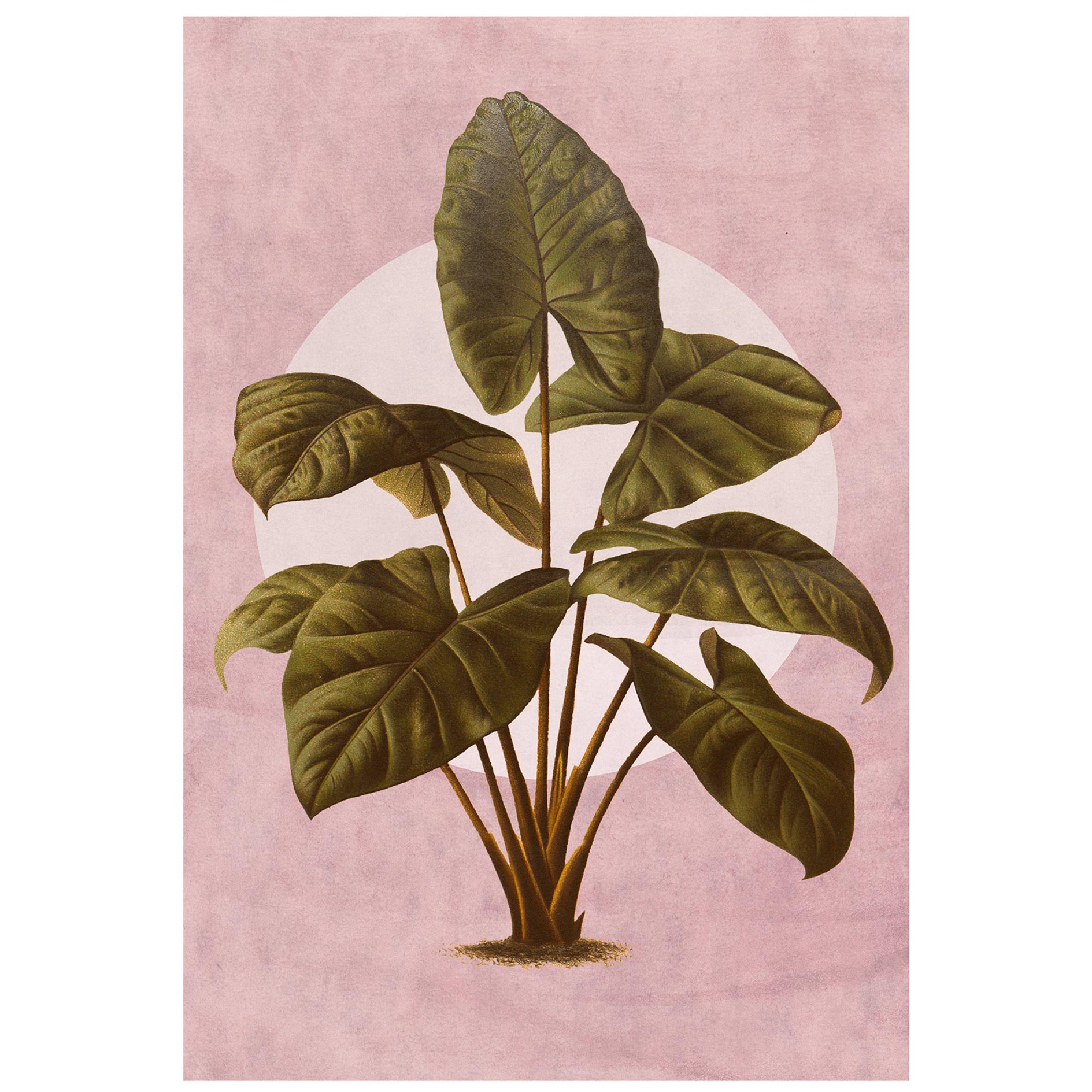 Wandbild CREATURES VEGETALES - 50x70 cm