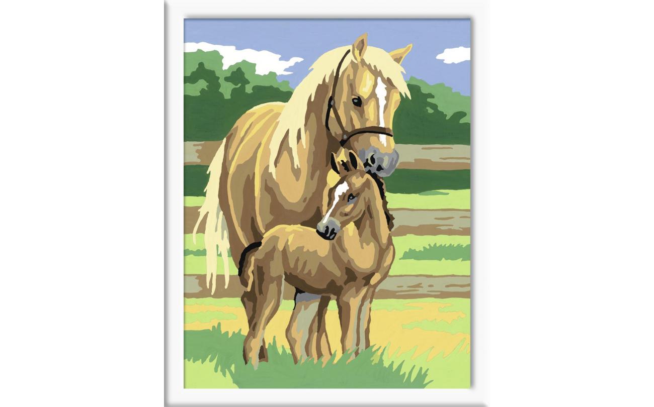 Paardenliefde
