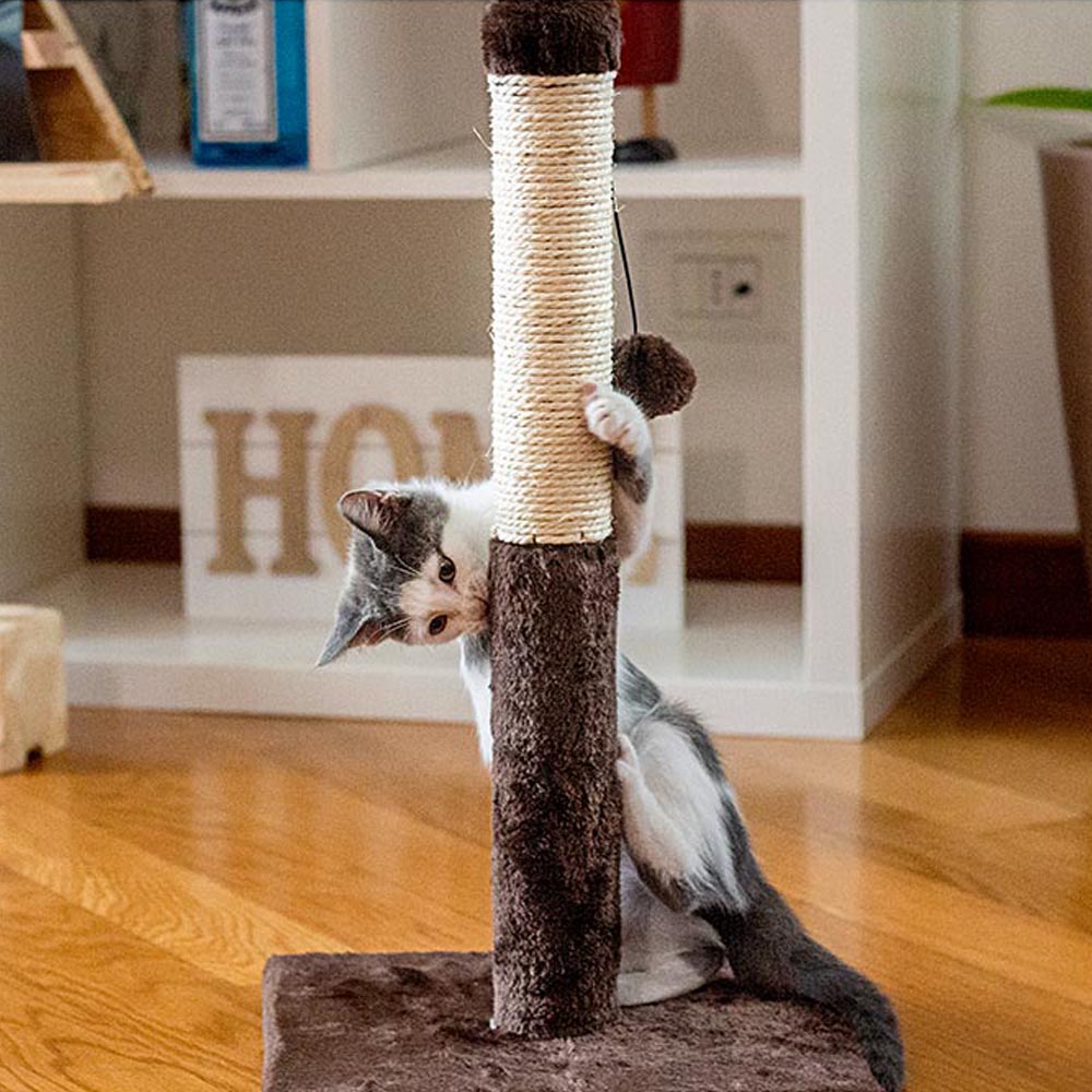Griffoir chat pa 4014 avec colonne en sisal et balle de jeu