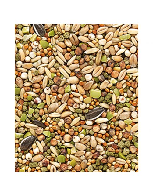 Versele-Laga Country`s Best Snack Garden Mix - Kippenvoer - 1 kg