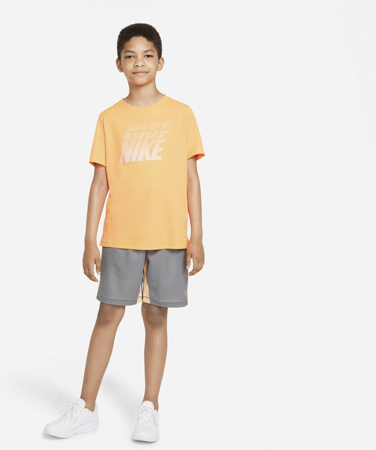 Nike Dri Fit Shorts Grå