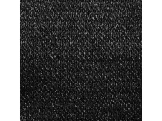 Voile d'ombrage 160 g/m² Noir 4x4 m PEHD