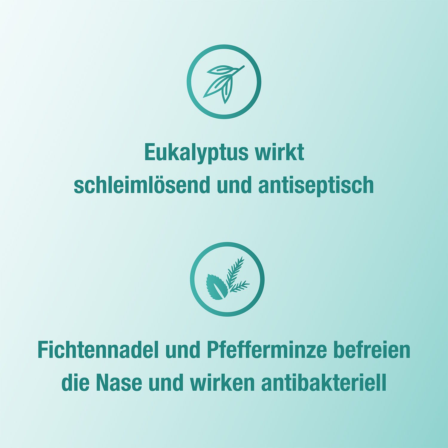 Bronchoforton® Salbe – Erkältungssalbe mit rein pflanzlichen Wirkstoffen. Löst zähen Schleim, erleichtert das Abhusten; mit Eukalyptus-, Fichtennadel- und Pfefferminzöl