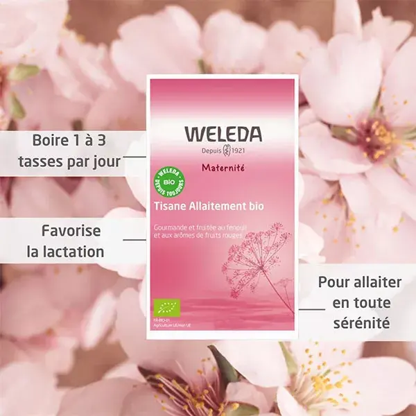 Chá de ervas para amamentação Weleda Maternity, frutos vermelhos orgânicos, 20 sachês