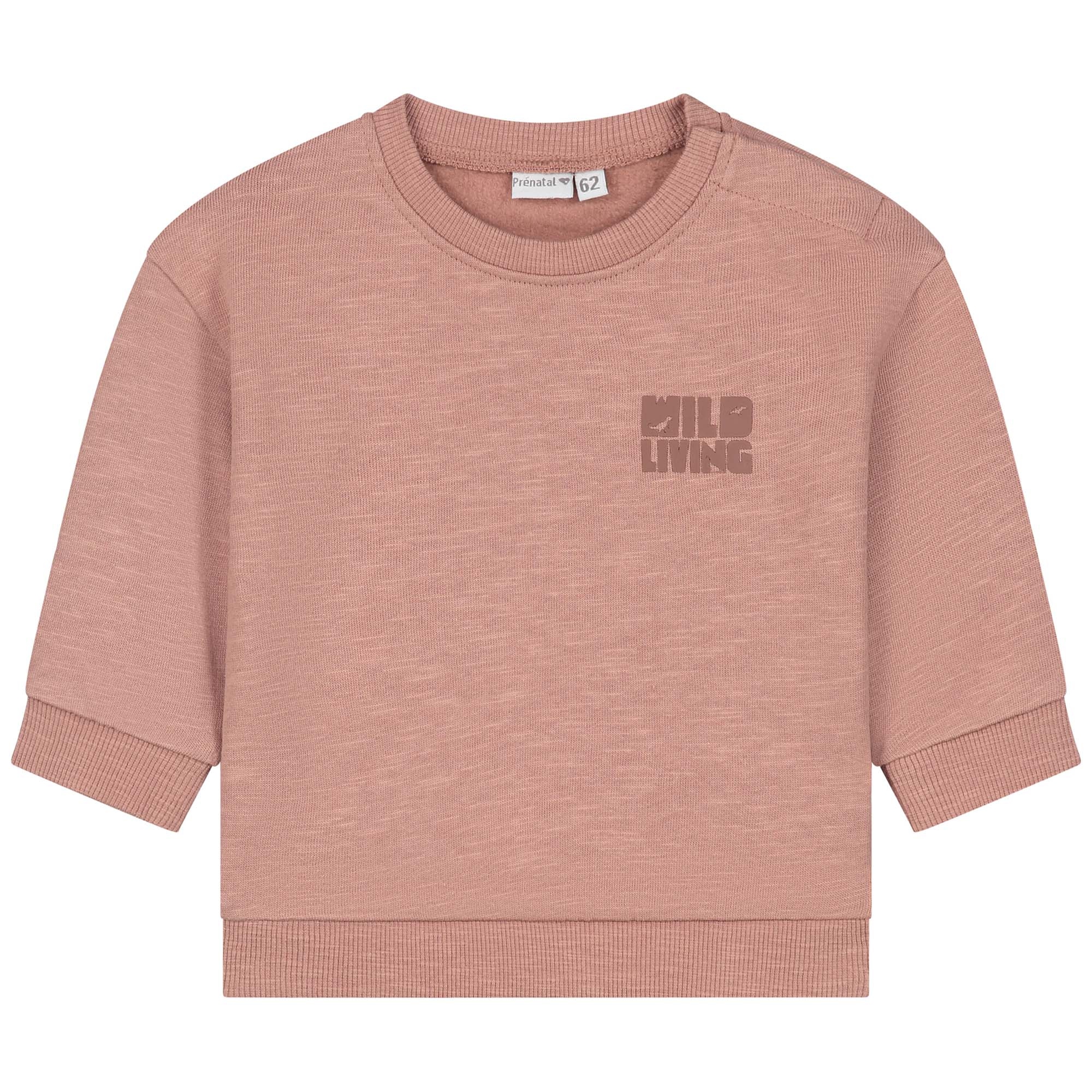 Prénatal baby sweater lange mouwen printopdruk multi
