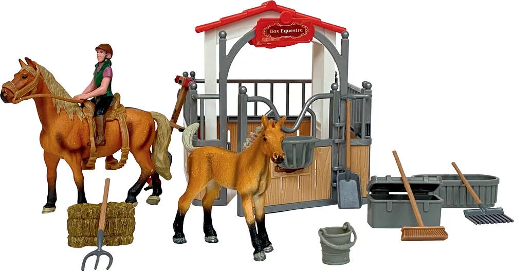 BOX EQUESTRE
