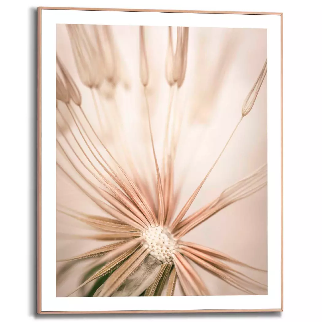 Wandbild 40 x 50 cm Pusteblume