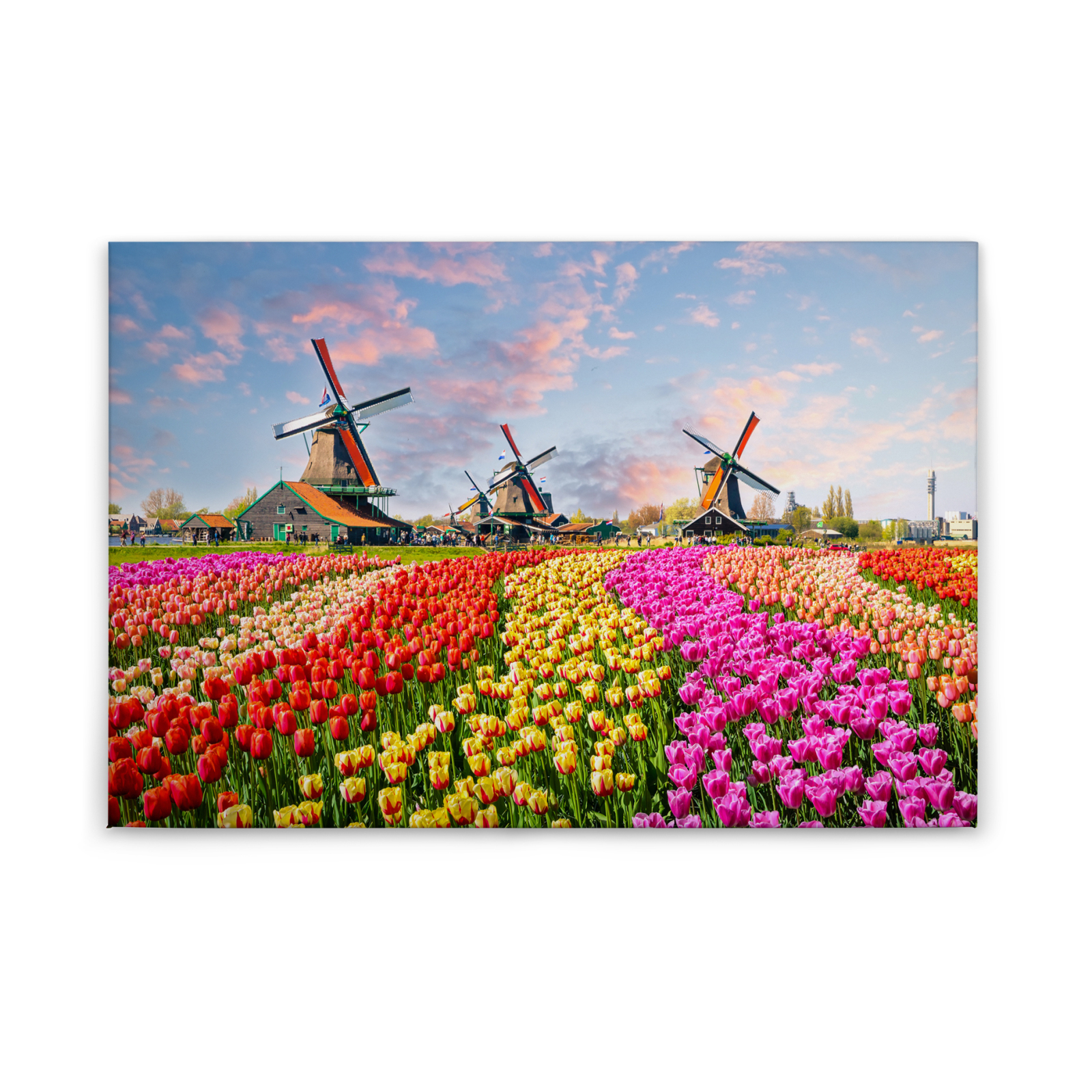 Leinwandbild ZAANSE SCHANS - bunt - 90x60 cm