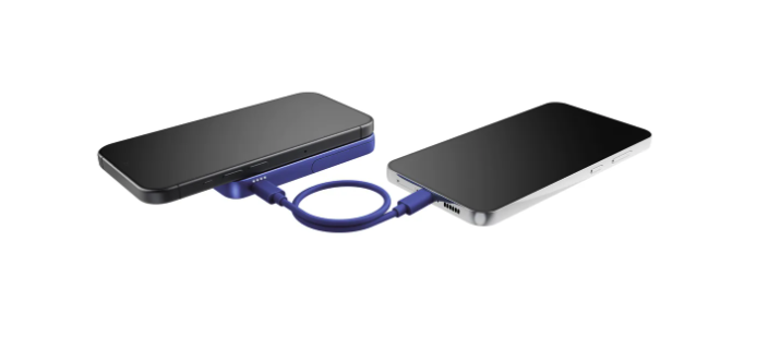 (20W) 5000mAh Dual USB C Powerbank Power Delivery Ladegerät   Kickstand (2PBM5000TB) - True Blue