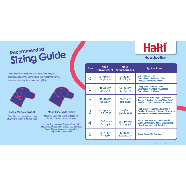 Licol de dressage Halti pour chien
