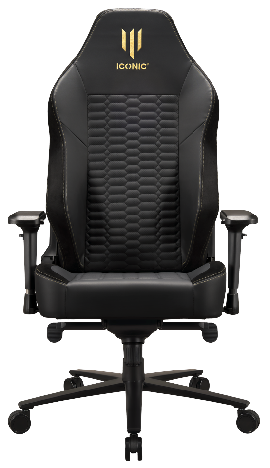 Apollon Classic / Gold Top Black seat + Gold logo