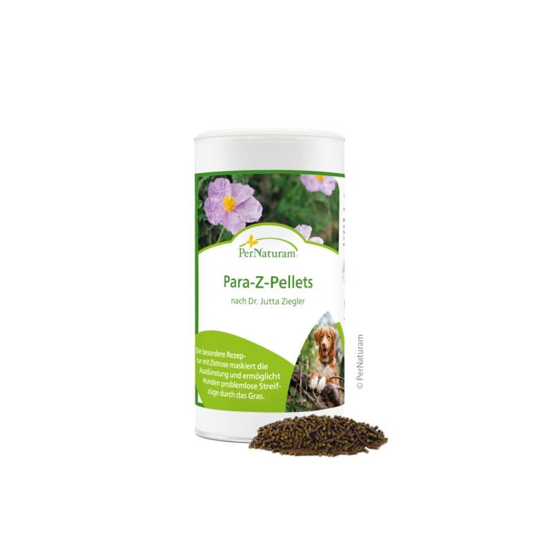Pernaturam Para-Z