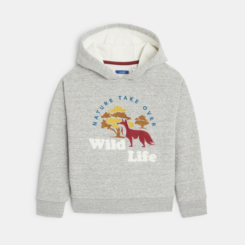 Sweat-shirt à capuche gris garçon