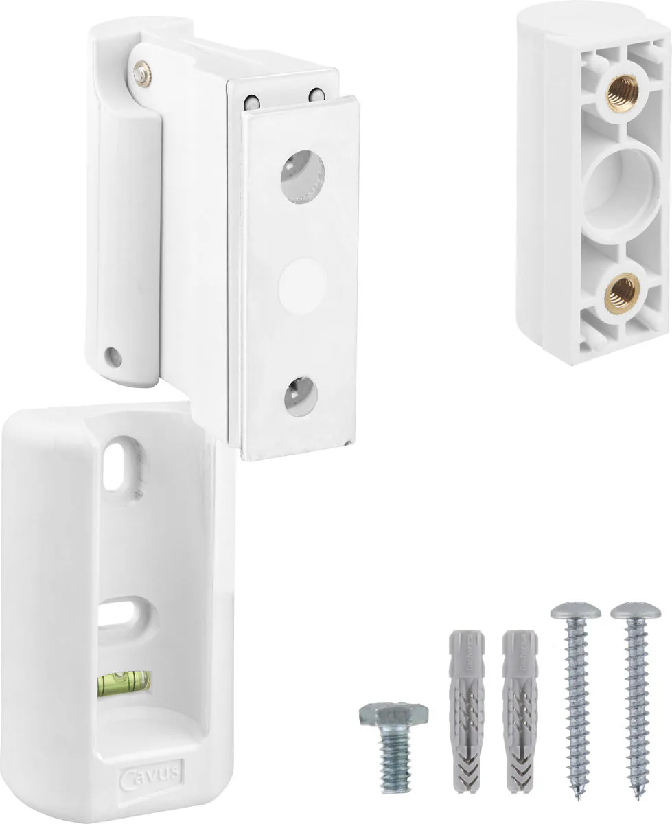 Support mural Cavus Blanc pour Bluesound Pulse Flex 2i (la pièce) Supports pour enceintes