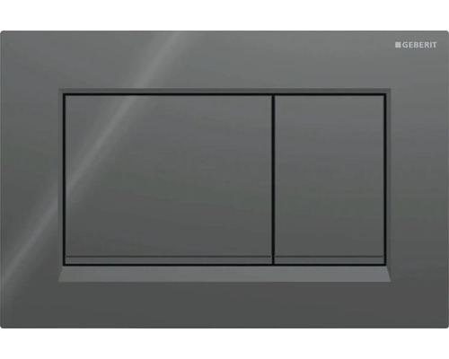 GEBERIT Sigma 30 bedieningsplaat, glanzend zwarte plaat / glanzend zwarte knop / matte sierstrip 115.883.DW.1